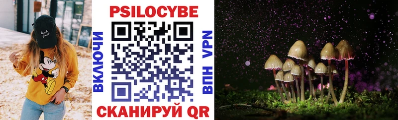Псилоцибиновые грибы Psilocybine cubensis Армавир