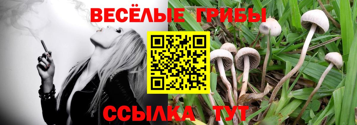 наркота  Псилоцибиновые грибы прущие грибы  Галлюциногенные грибы GOLDEN TEACHER  Вход с VPN  Армавир 