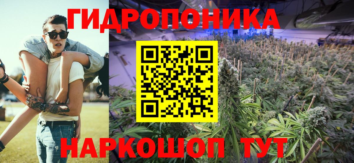 Альфа ПВП Армавир